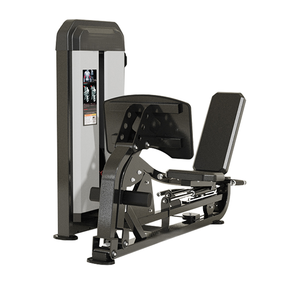 Leg Press & Calf Raise