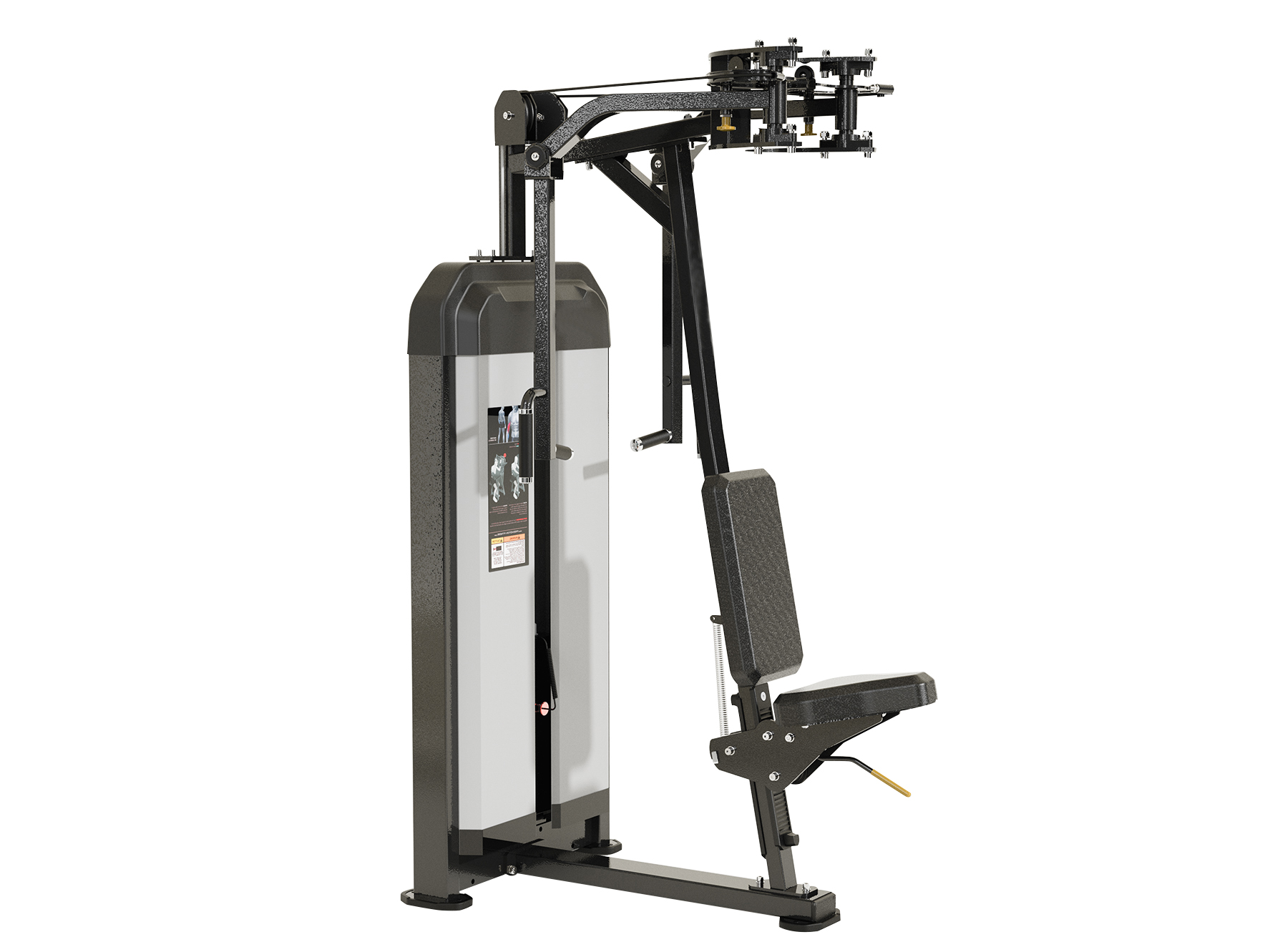 Pec APy & Back Extension